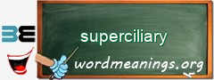 WordMeaning blackboard for superciliary